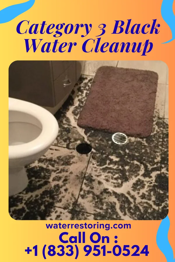 Category 3 Black Water Cleanup in Enetai, WA
