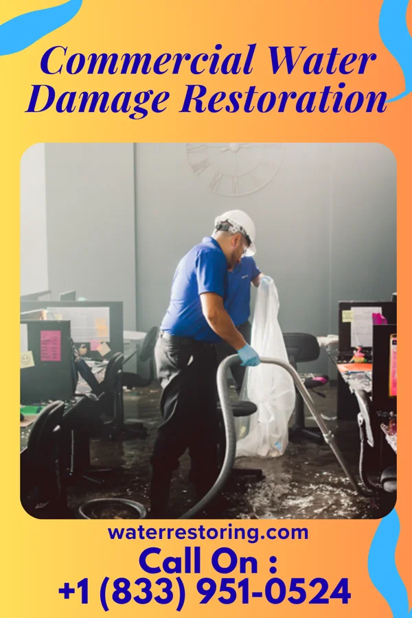 Commercial Water Damage Restoration in Enetai, WA